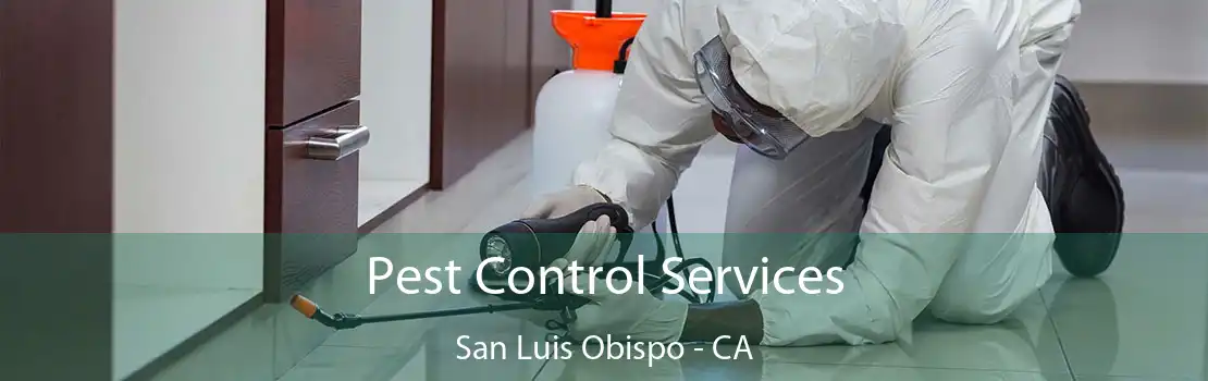 Pest Control Services San Luis Obispo - CA