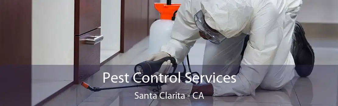 Pest Control Services Santa Clarita - CA