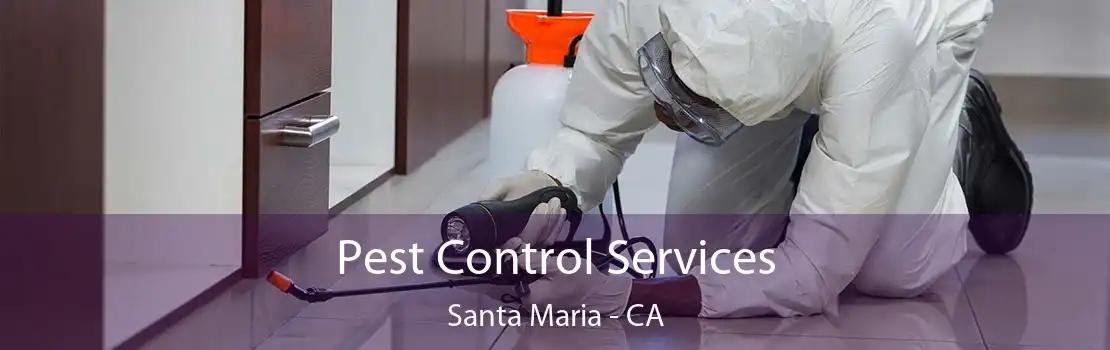 Pest Control Services Santa Maria - CA