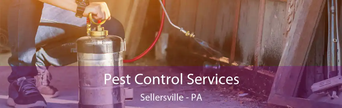 Pest Control Services Sellersville - PA