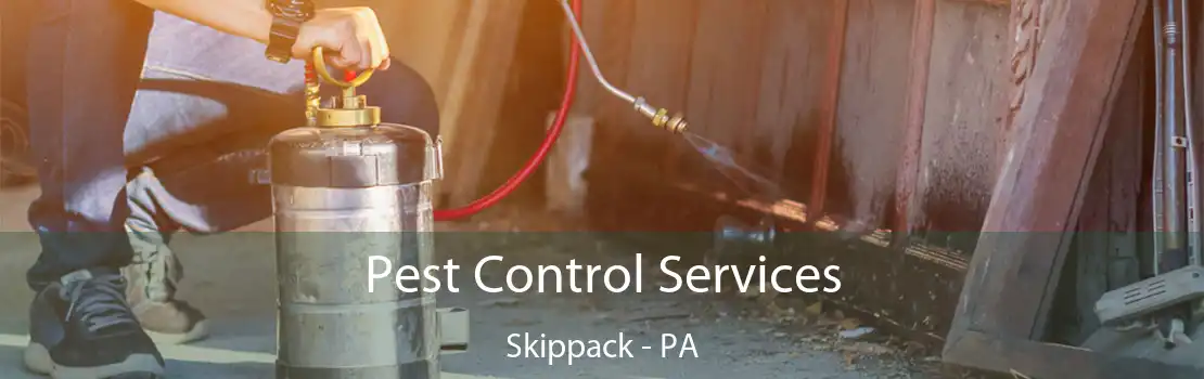 Pest Control Services Skippack - PA