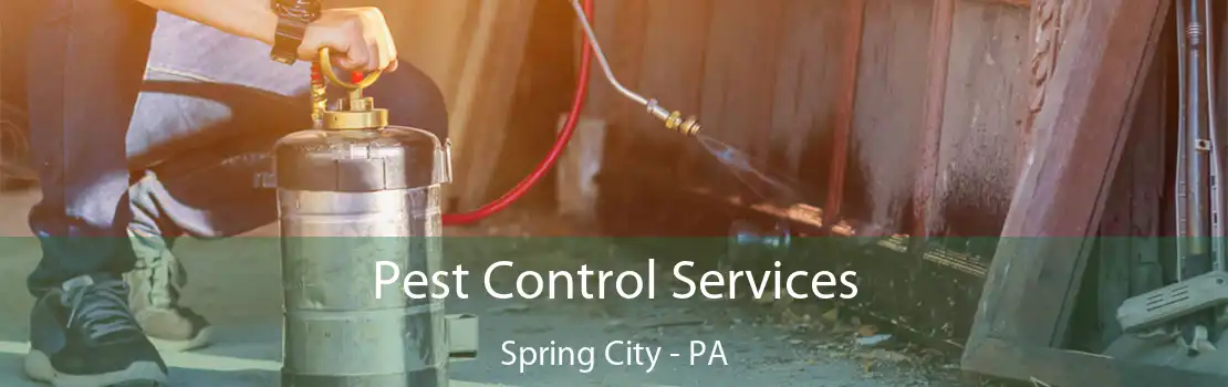 Pest Control Services Spring City - PA