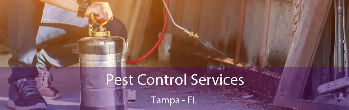 Pest Control Services Tampa - FL