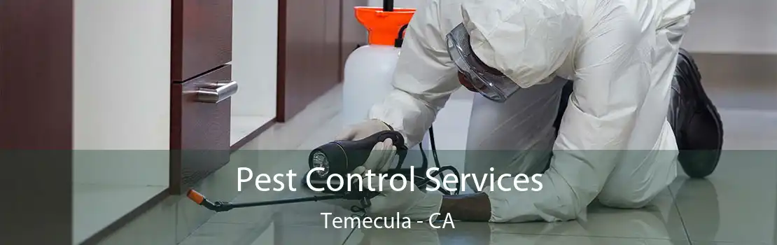 Pest Control Services Temecula - CA