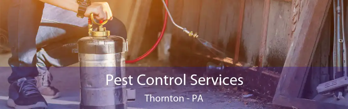 Pest Control Services Thornton - PA