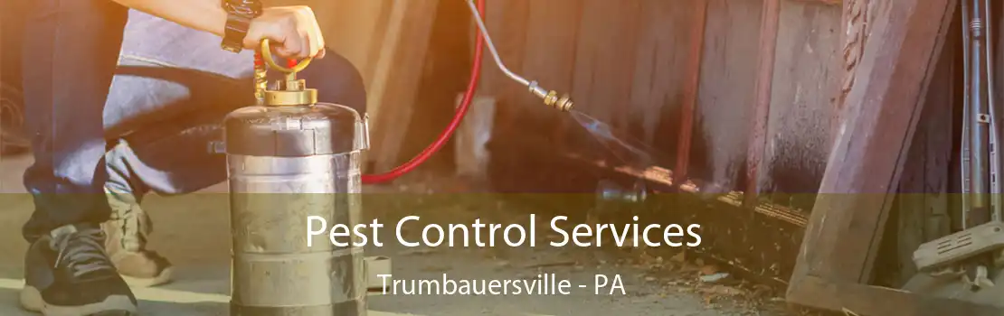 Pest Control Services Trumbauersville - PA