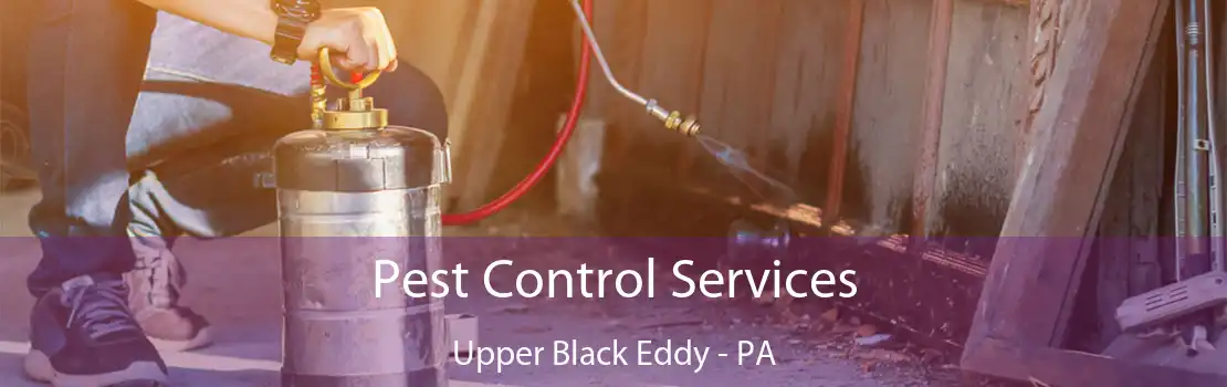 Pest Control Services Upper Black Eddy - PA