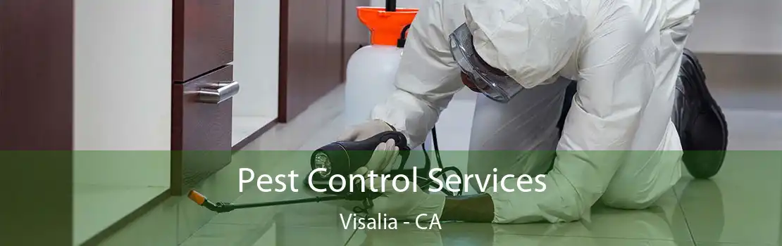 Pest Control Services Visalia - CA