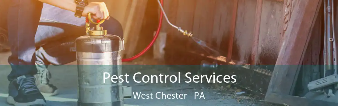 Pest Control Services West Chester - PA