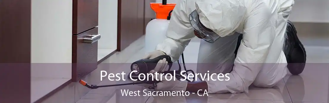 Pest Control Services West Sacramento - CA