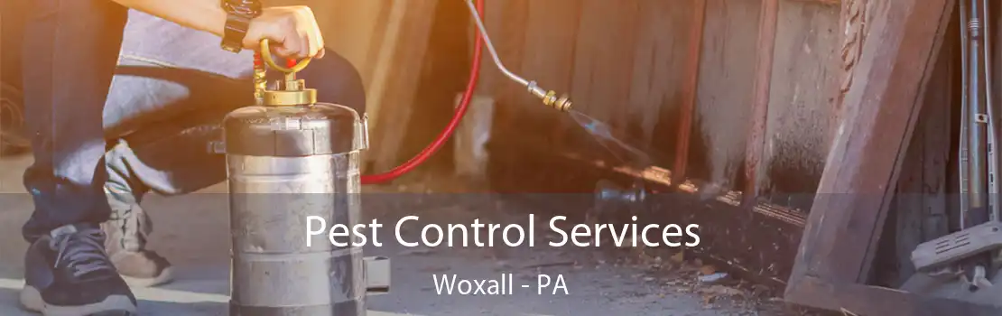 Pest Control Services Woxall - PA