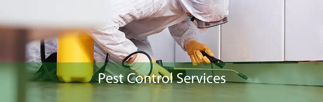 Pest Control Services 