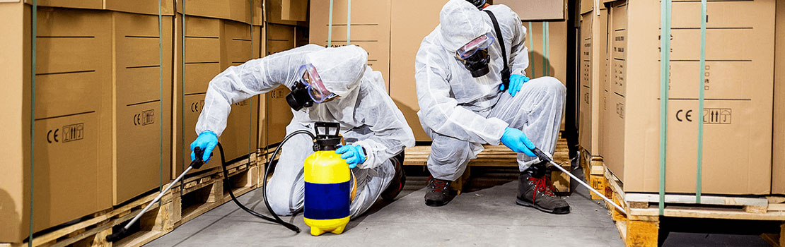 Commercial Pest Control in San Francisco, CA
