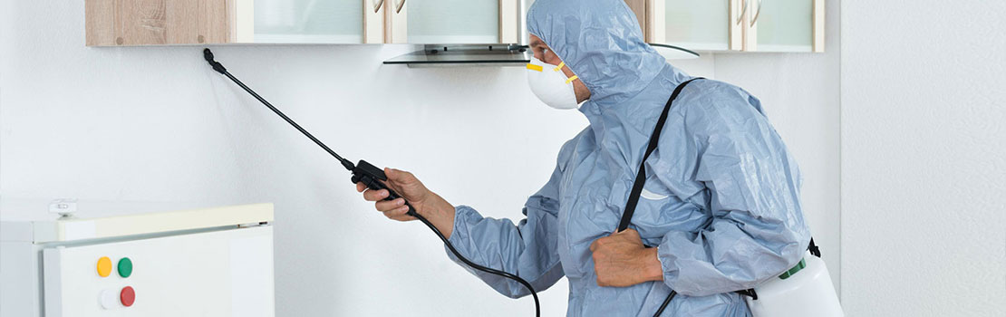 Emergency Pest Control in San Francisco, CA