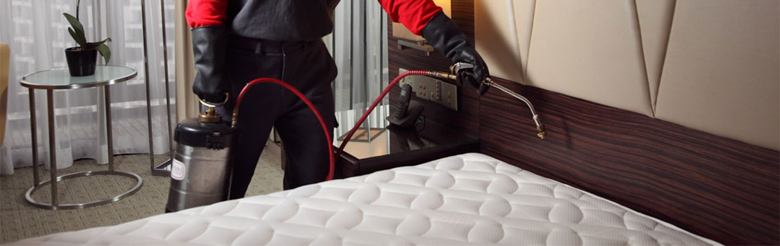 Plumsteadville Residential Bed Bug Extermination